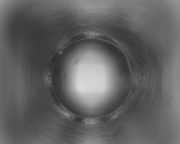 X0000073950766200609051753