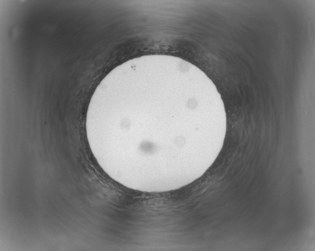 X0000073950769200609051752