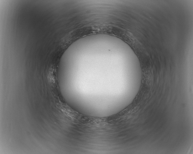 X0000073950770200609051752