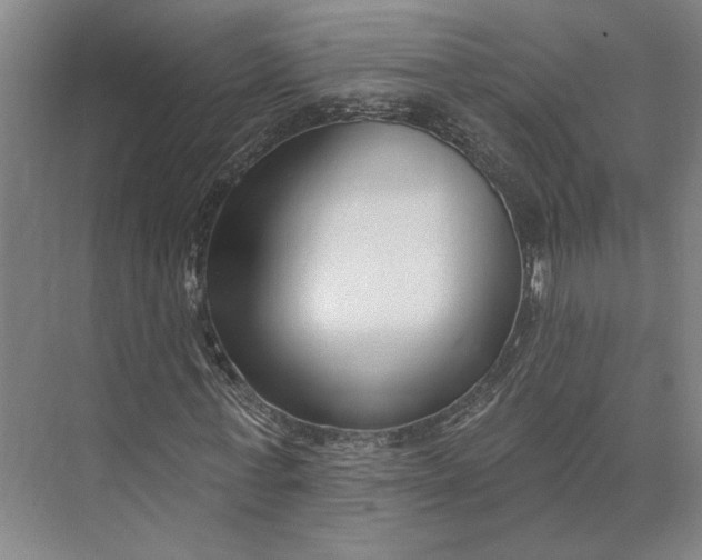 X0000073950771200609051752