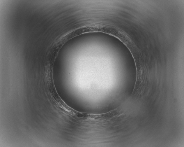 X0000073950773200609051752