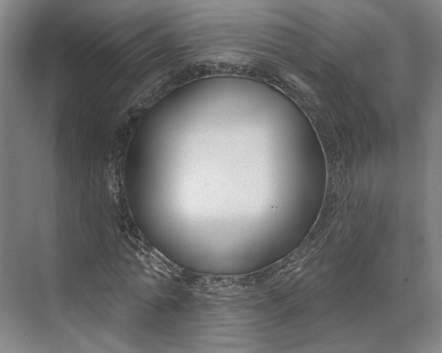 X0000073950774200609051752