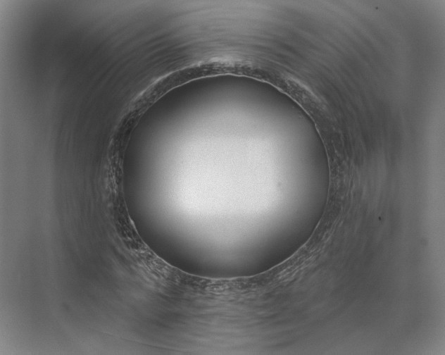 X0000073950776200609051752