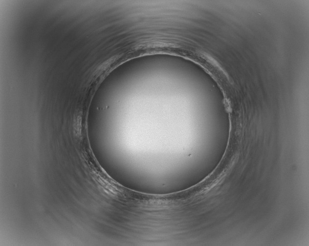 X0000073950777200609051752