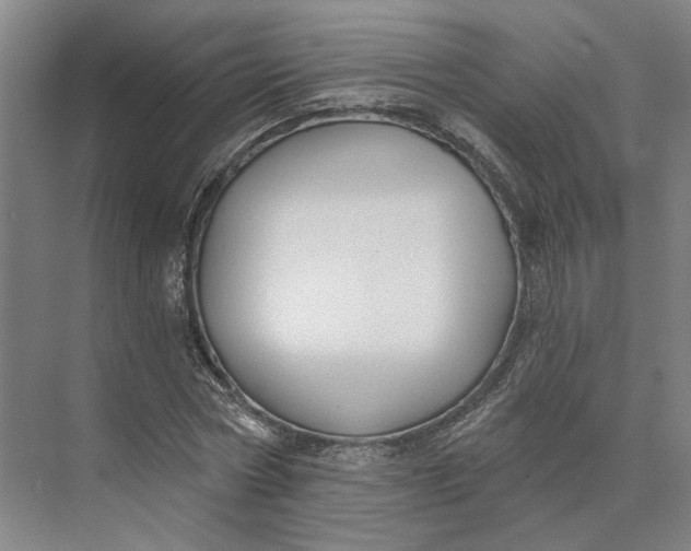 X0000073950778200609051752