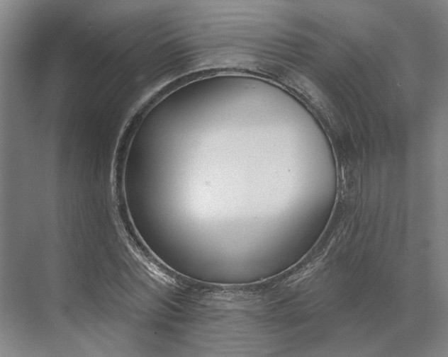 X0000073950780200609051752