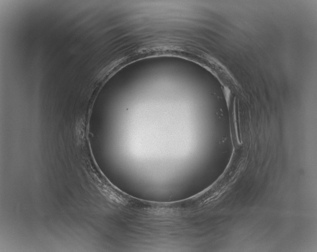 X0000073950785200609051751