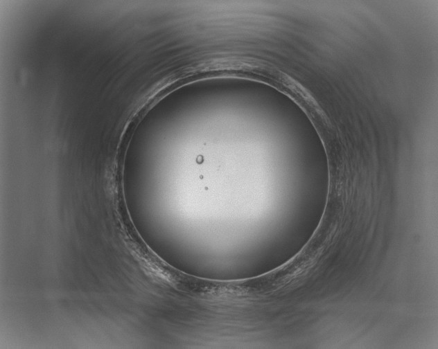 X0000073950786200609051751