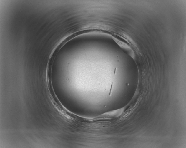 X0000073950788200609051751