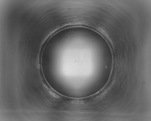 X0000073950789200609051751