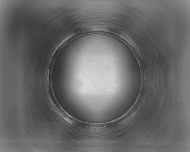 X0000073950790200609051751