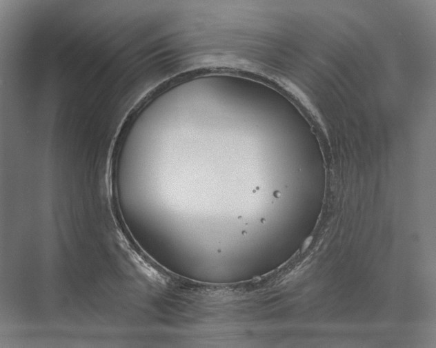 X0000073950791200609051751