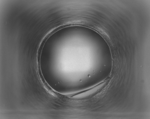 X0000073950792200609051751