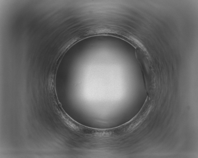 X0000073950793200609051751