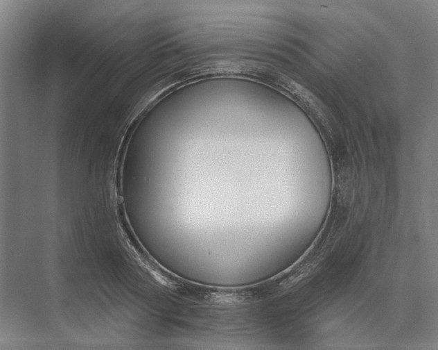 X0000073950794200609051751