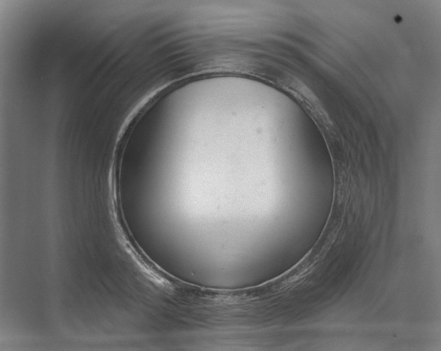 X0000073950796200609051751