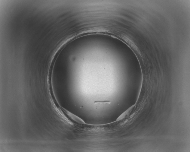 X0000073950797200609051751