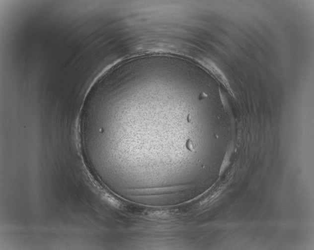 X0000073950798200609051751