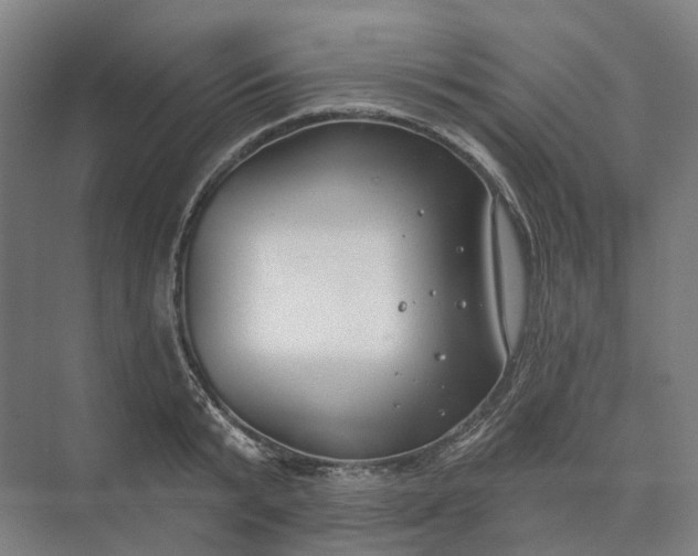 X0000073950799200609051751