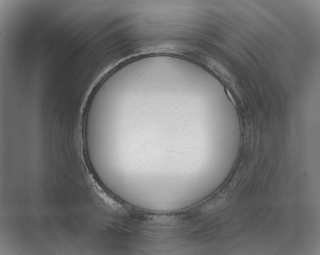 X0000073950800200609051751