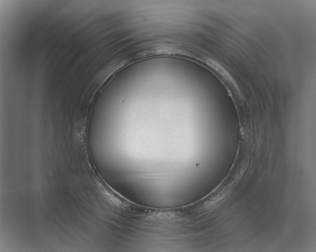 X0000073950801200609051751