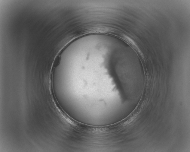 X0000073950802200609051751