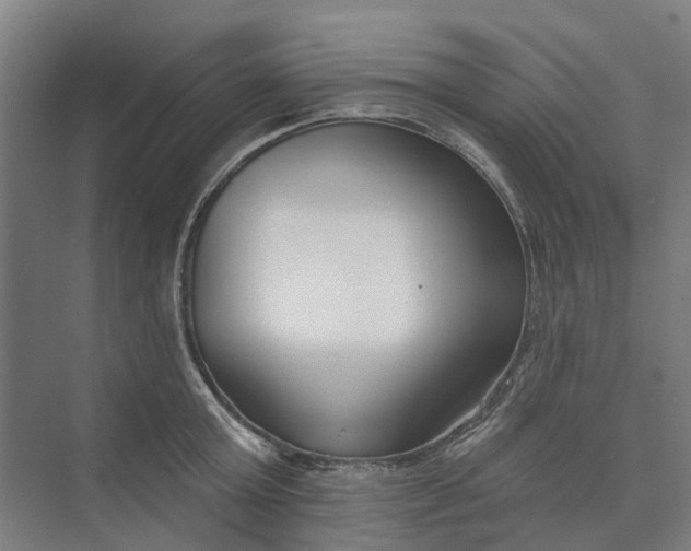 X0000073950803200609051751