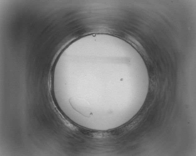 X0000073950804200609051751