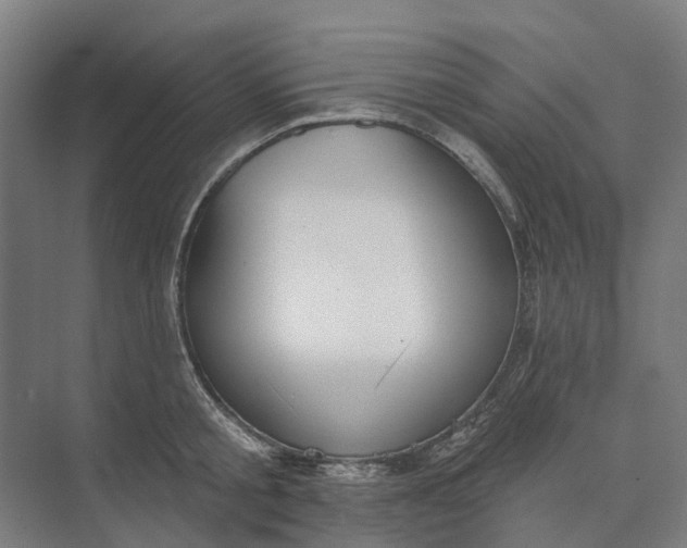 X0000073950805200609051751