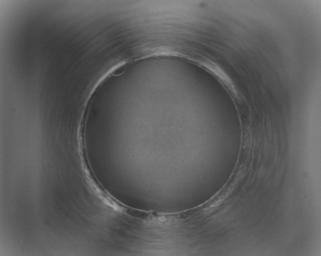 X0000073950806200609051751