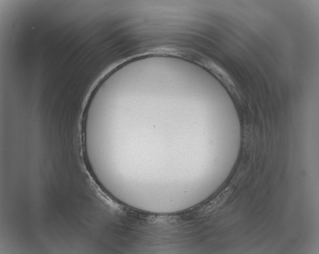 X0000073950808200609051751