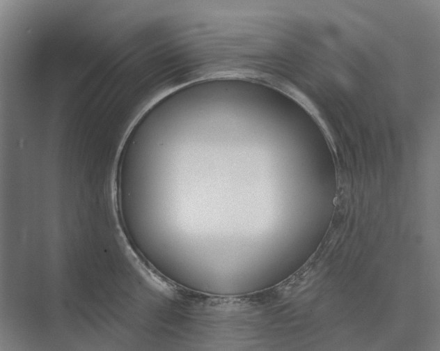 X0000073950811200609051751