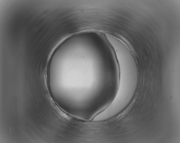 X0000073950812200609051751