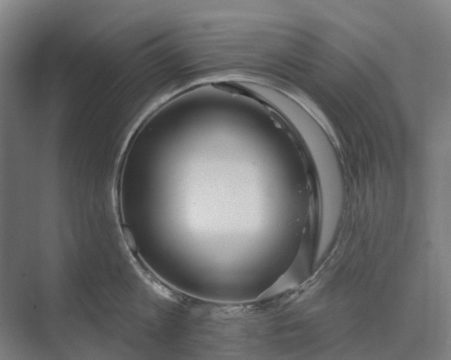 X0000073950813200609051751