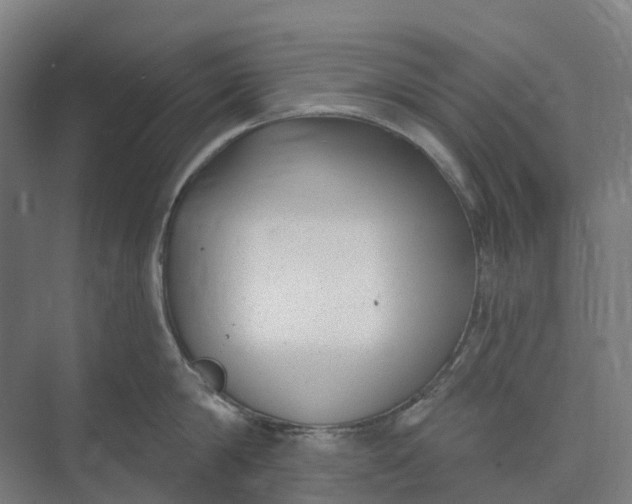 X0000073950814200609051751