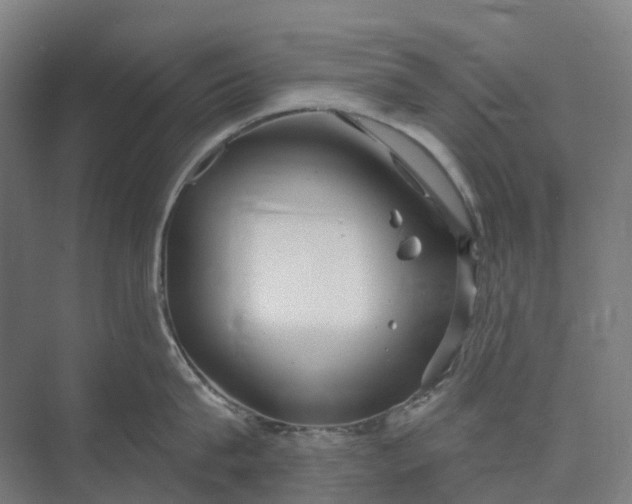 X0000073950815200609051751