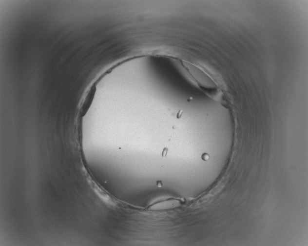 X0000073950816200609051751