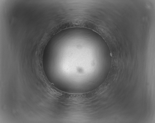 X0000073950817200609051750