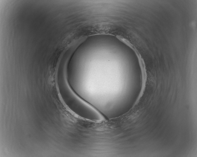 X0000073950818200609051750