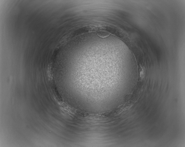 X0000073950819200609051750