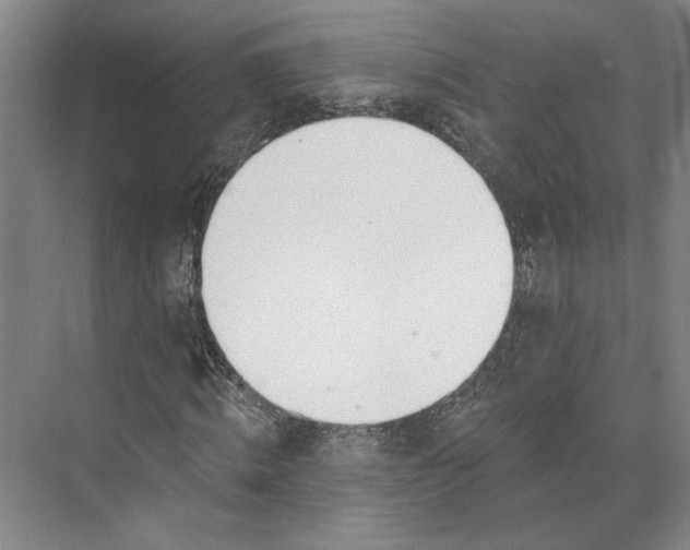 X0000073950820200609051750