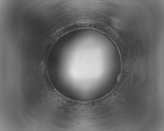 X0000073950821200609051750