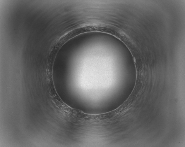 X0000073950822200609051750