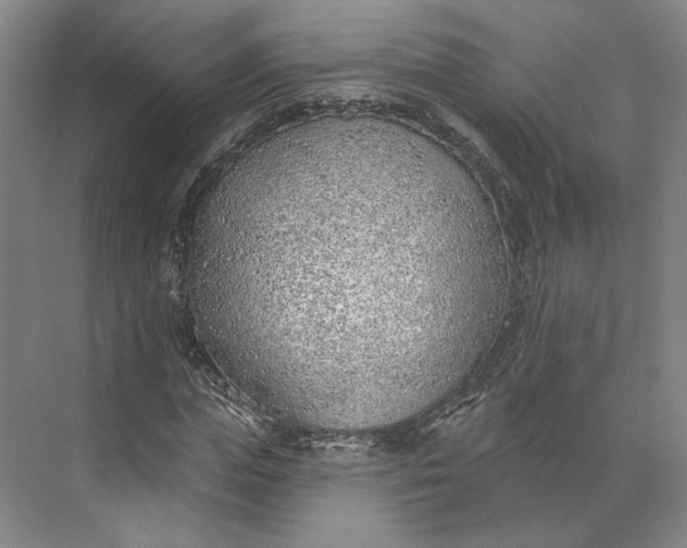 X0000073950823200609051750