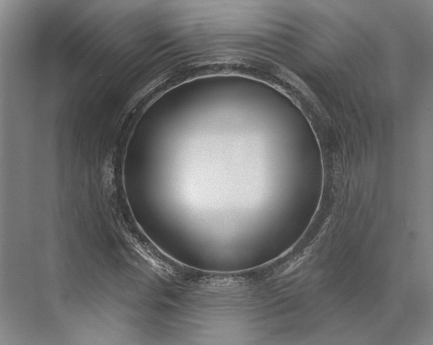 X0000073950826200609051750