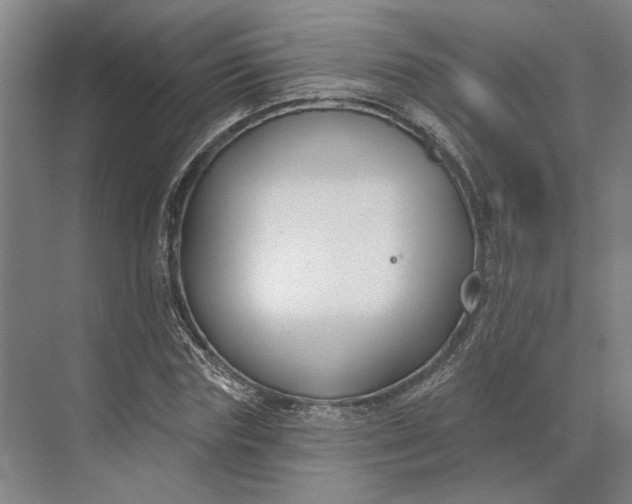 X0000073950827200609051750