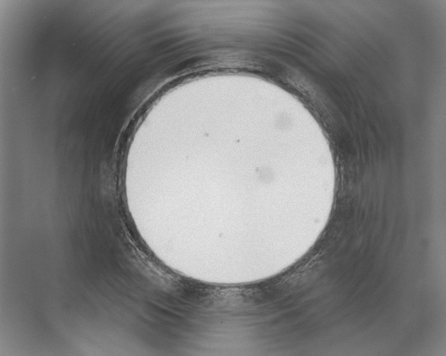 X0000073950828200609051750