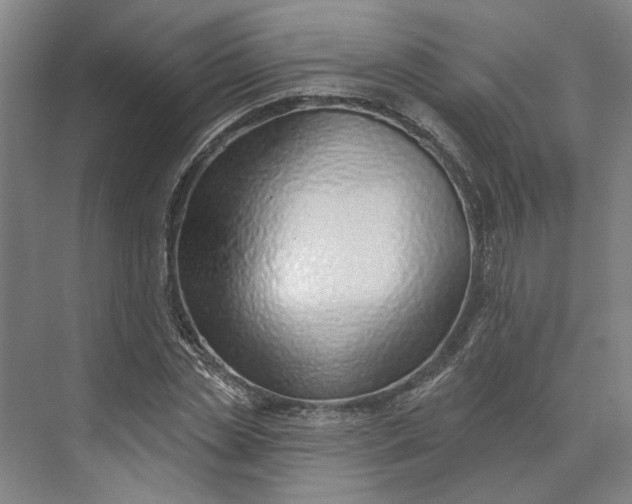 X0000073950829200609051750