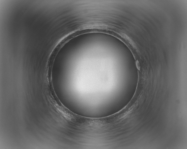 X0000073950830200609051750