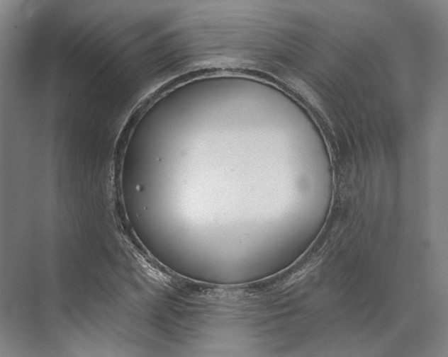 X0000073950831200609051750